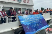 梦见抓虾浙江今年计划放流种类海洋水生生物苗种超15亿单位