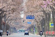梦见抓虾共建“花园城市” 北京这场议政会“百花齐放”